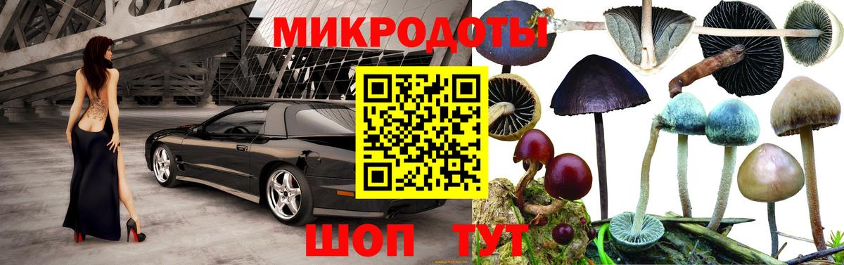 Новокузнецк  наркотики  Вход с VPN  Псилоцибиновые грибы GOLDEN TEACHER 